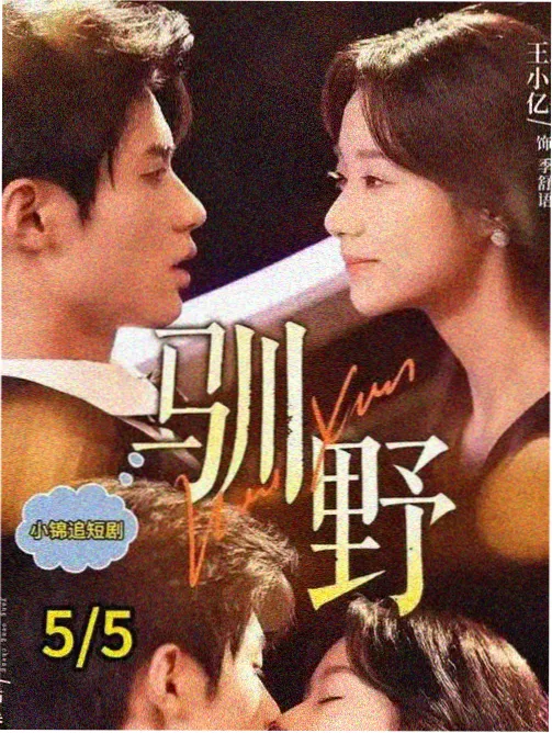 云播影院专题图鉴：单线叙事结构拆解计划的封面